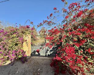 Jardí de Residencial en venda en  Murcia Capital