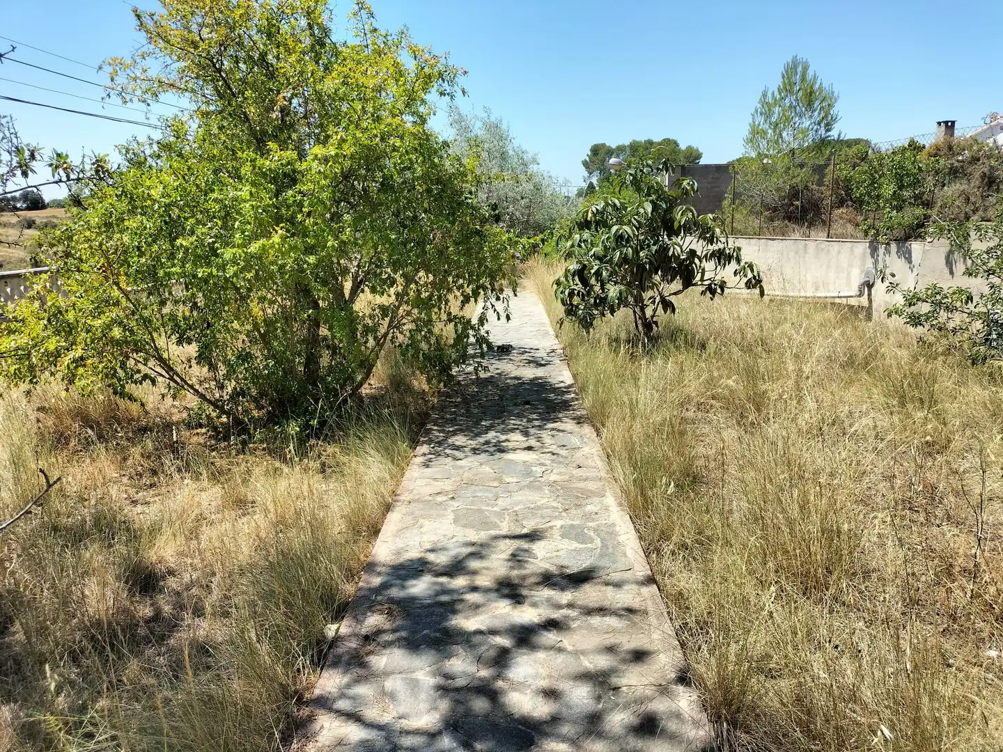 Terreno rustico in vendita a Piera, imagen 5