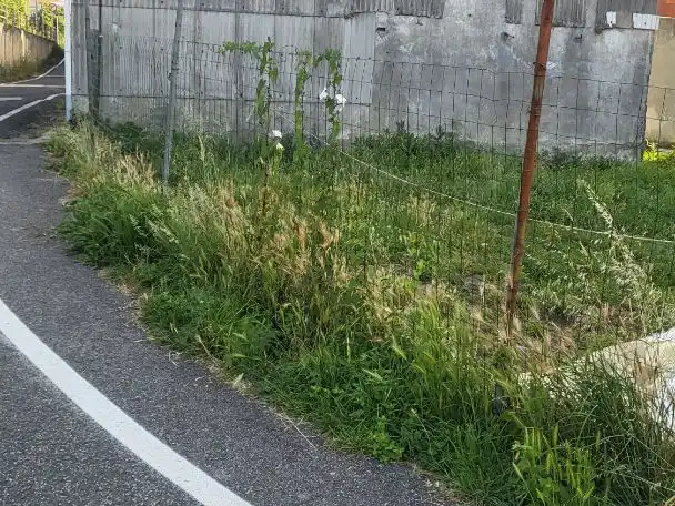 Terreni e lotti in vendita a Estrada de cedeira 70