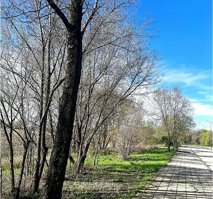 Residential land for sale in SP.P.P.12, imagen 9