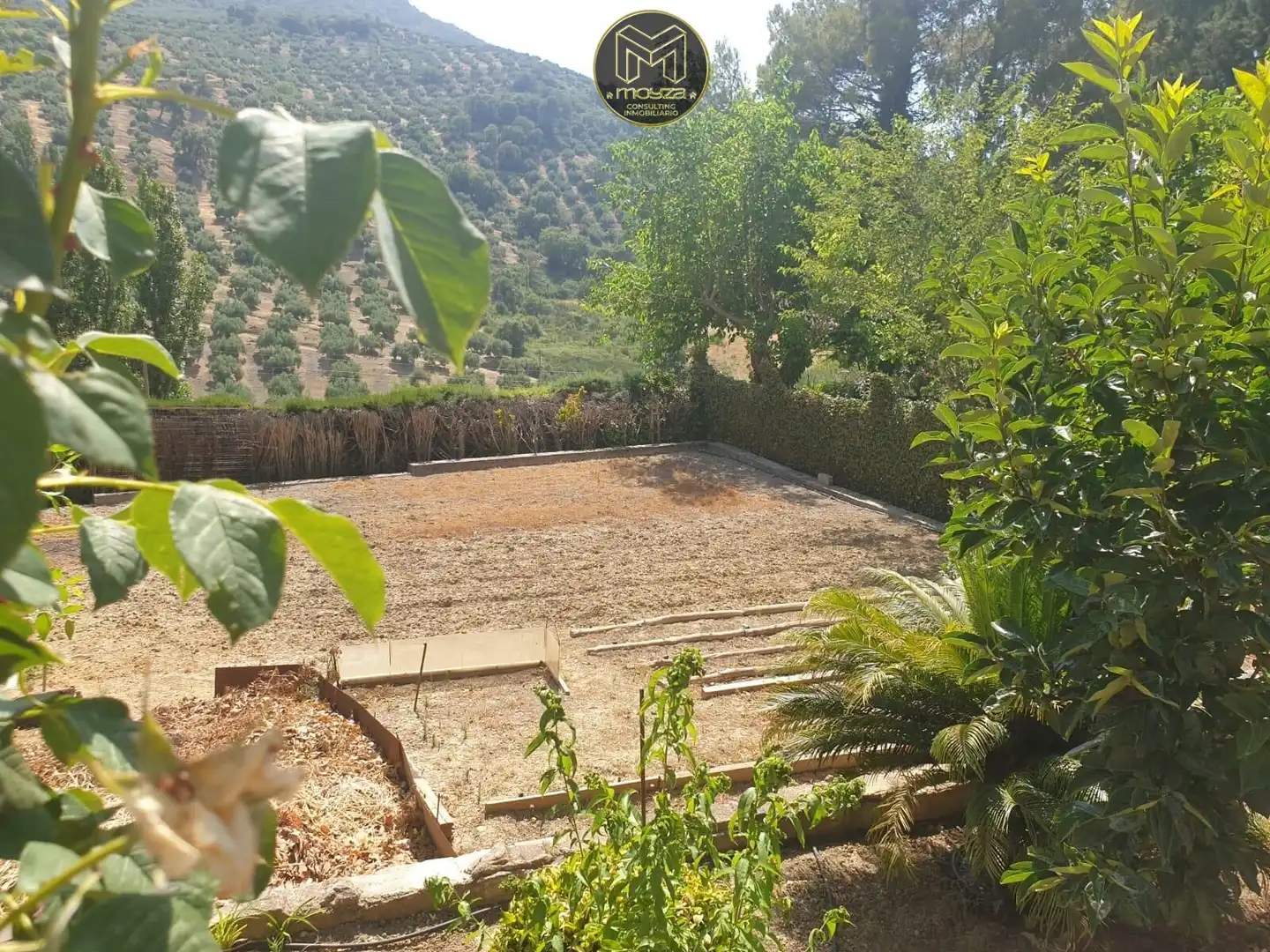 Jardí de Casa o xalet en venda en Andújar amb Aire condicionat, Calefacció i Piscina