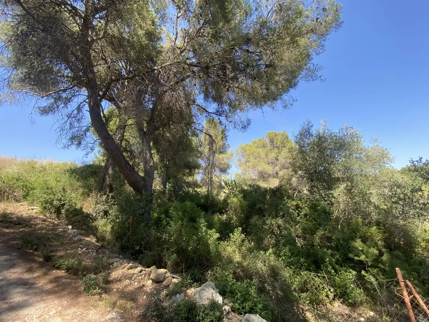 Residential land for sale in Urbanitzacions de Llevant, imagen 7