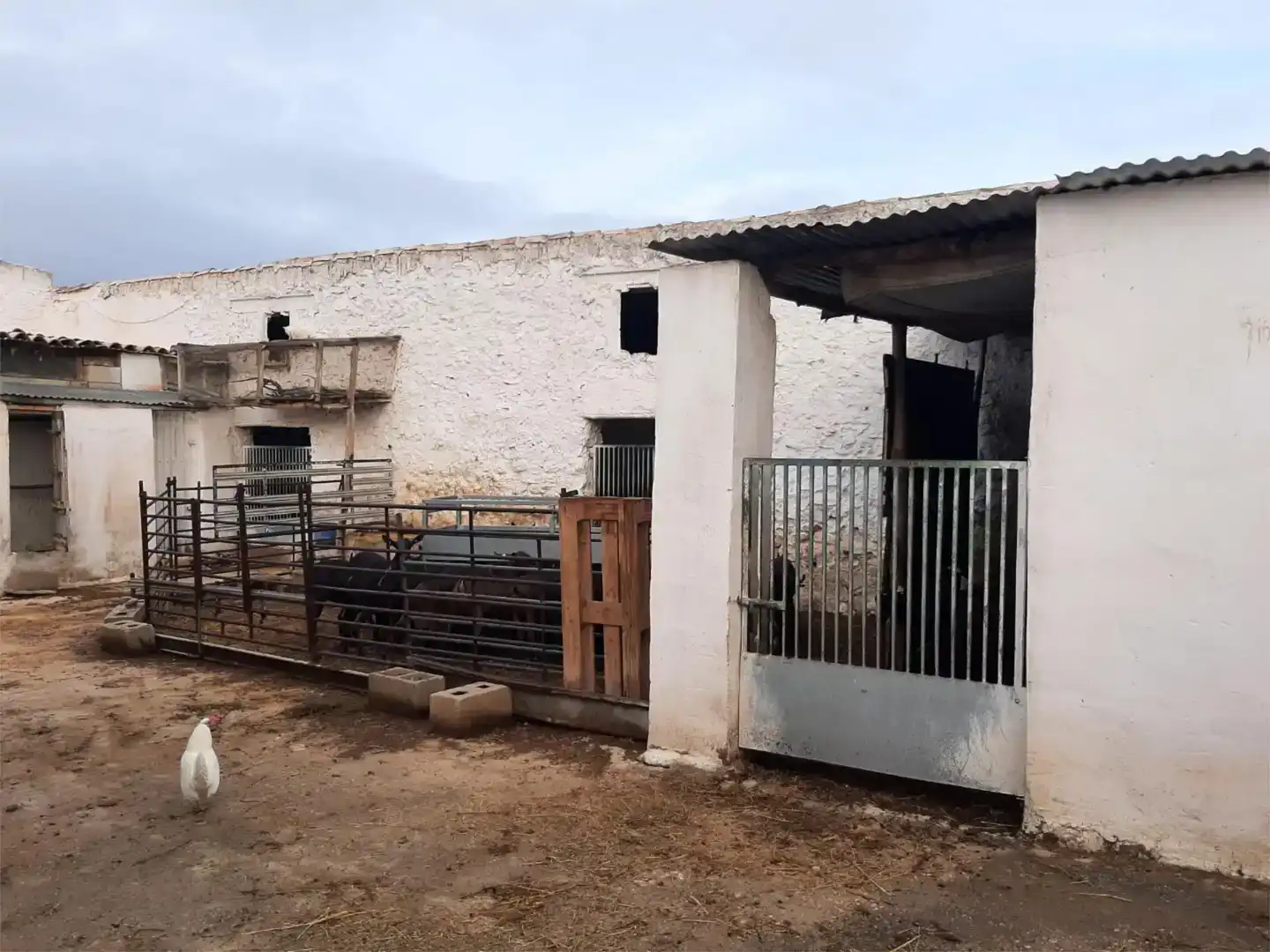 Exterior view of Country homes for sale in Hellín