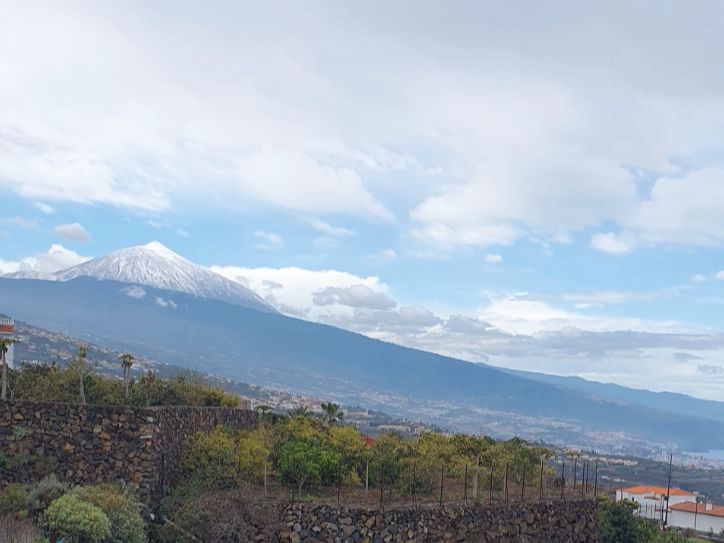 Vista exterior de Oficina en venda en La Matanza de Acentejo amb Internet
