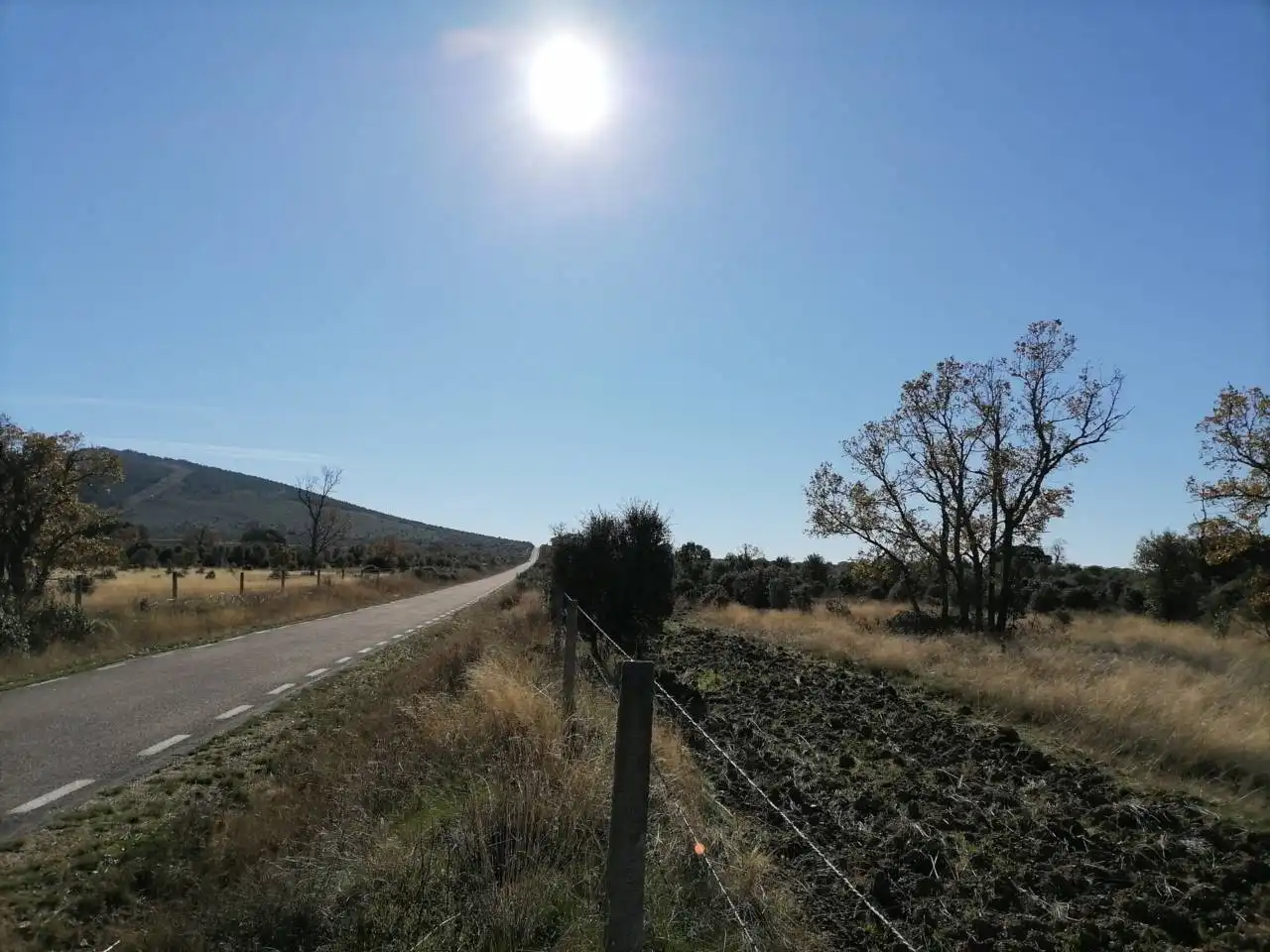 Terreny rústic en venda a Serradilla del Arroyo, imagen 17