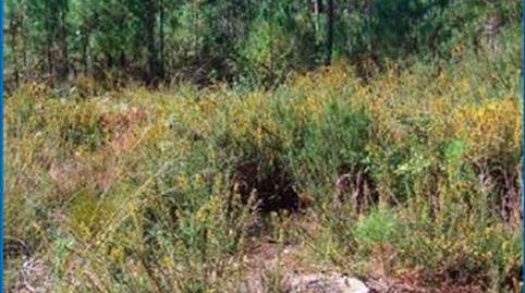 Photo 2 of Land for sale in Oleiros, A Coruña