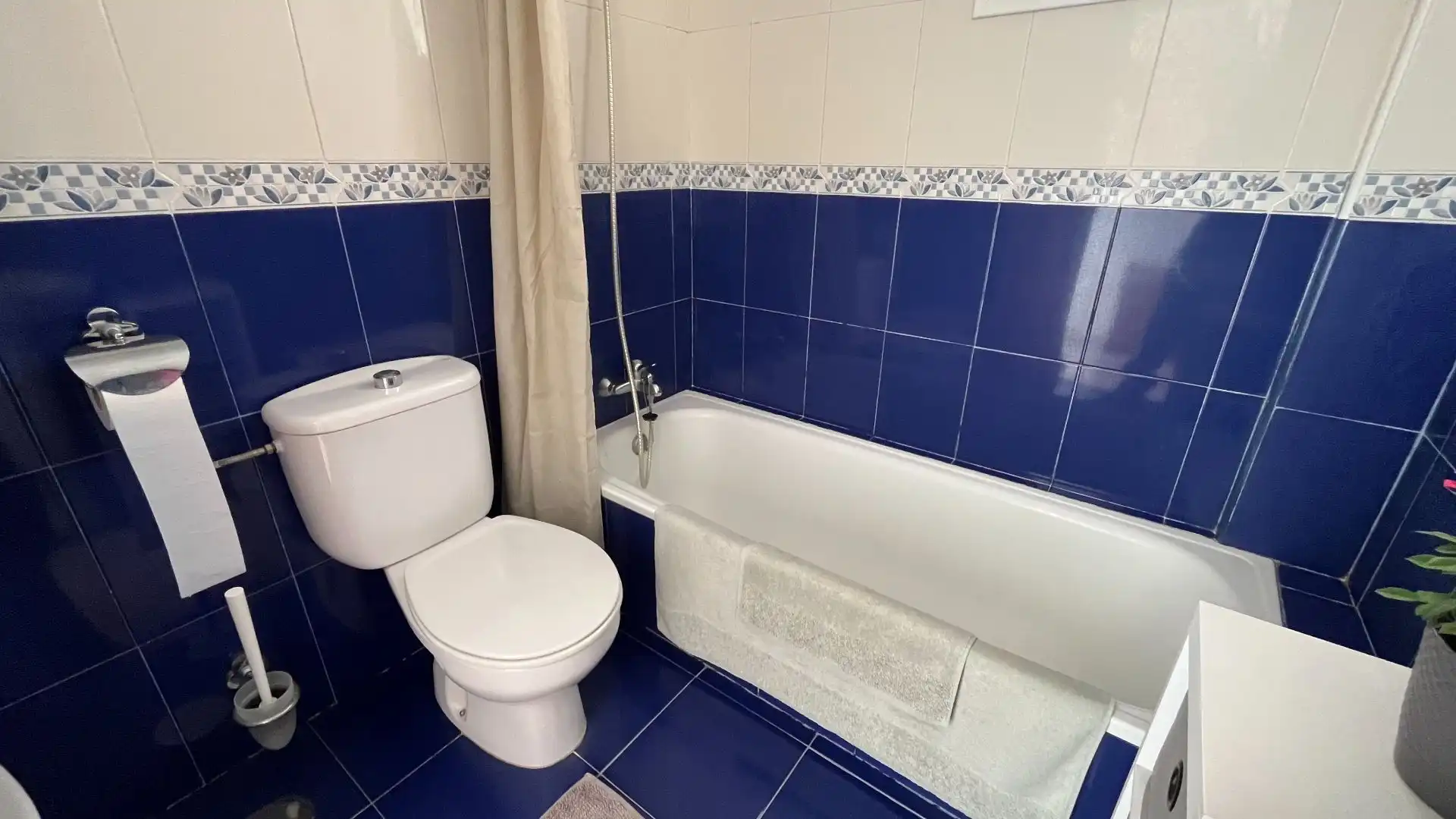 Casa o chalet en venta en Coloma