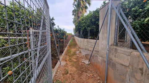La inmobiliaria Garrigues Exclusivas le ofrece finca agrícola en plena producción de naranjas variedad Navel late.Finca rústica si, immagine 2