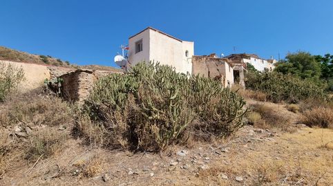 Foto 3 de Finca rústica en venta en Los Morales, 1, Rubite, Granada