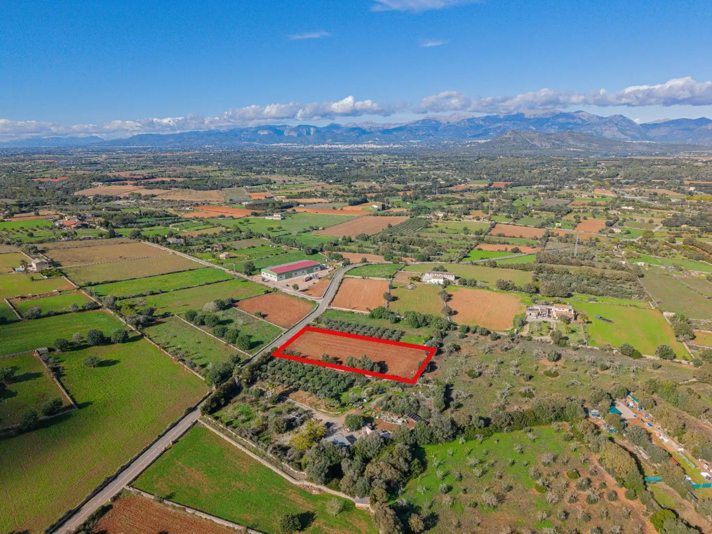 Terreny rústic en venda a Camino Camí de Vinyota, imagen 13