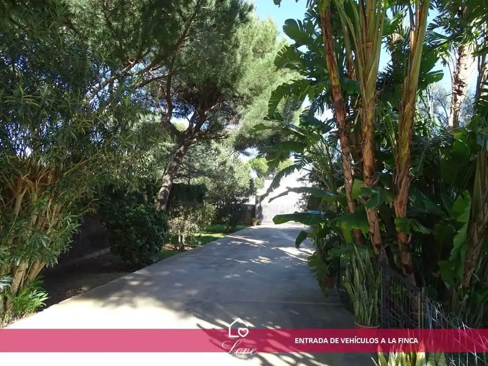 Garden of Houses for sale in Chiclana de la Frontera  with Air Conditioner, Heating and Private garden