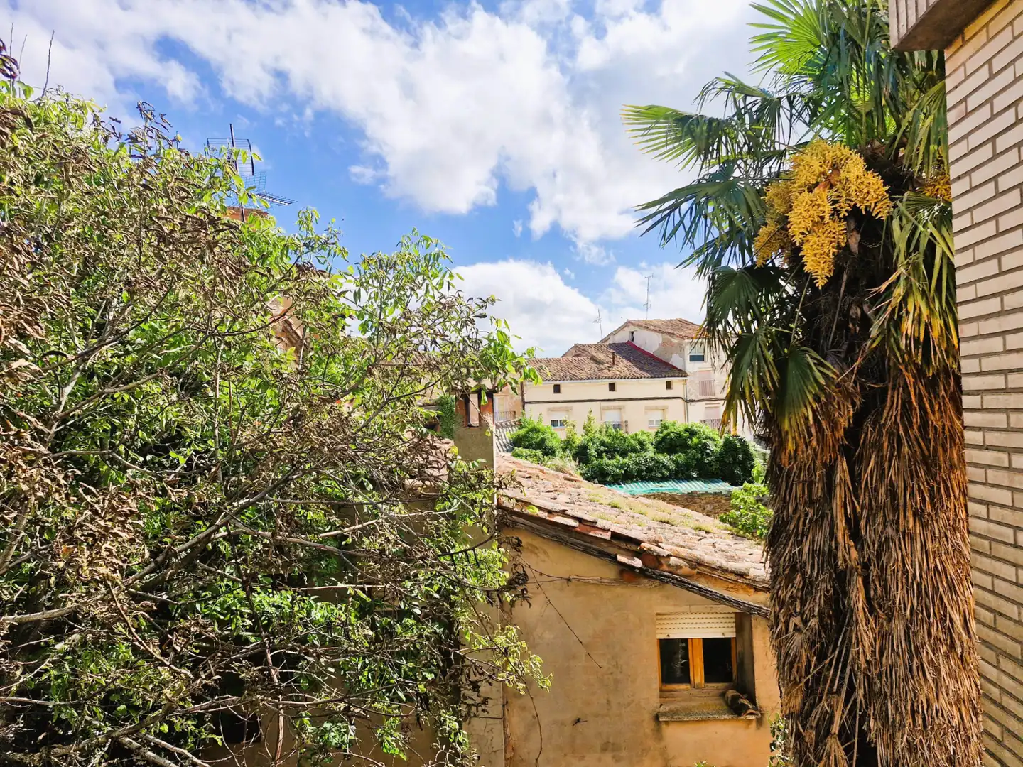 Garten von Gebäude zum Verkauf in Corera