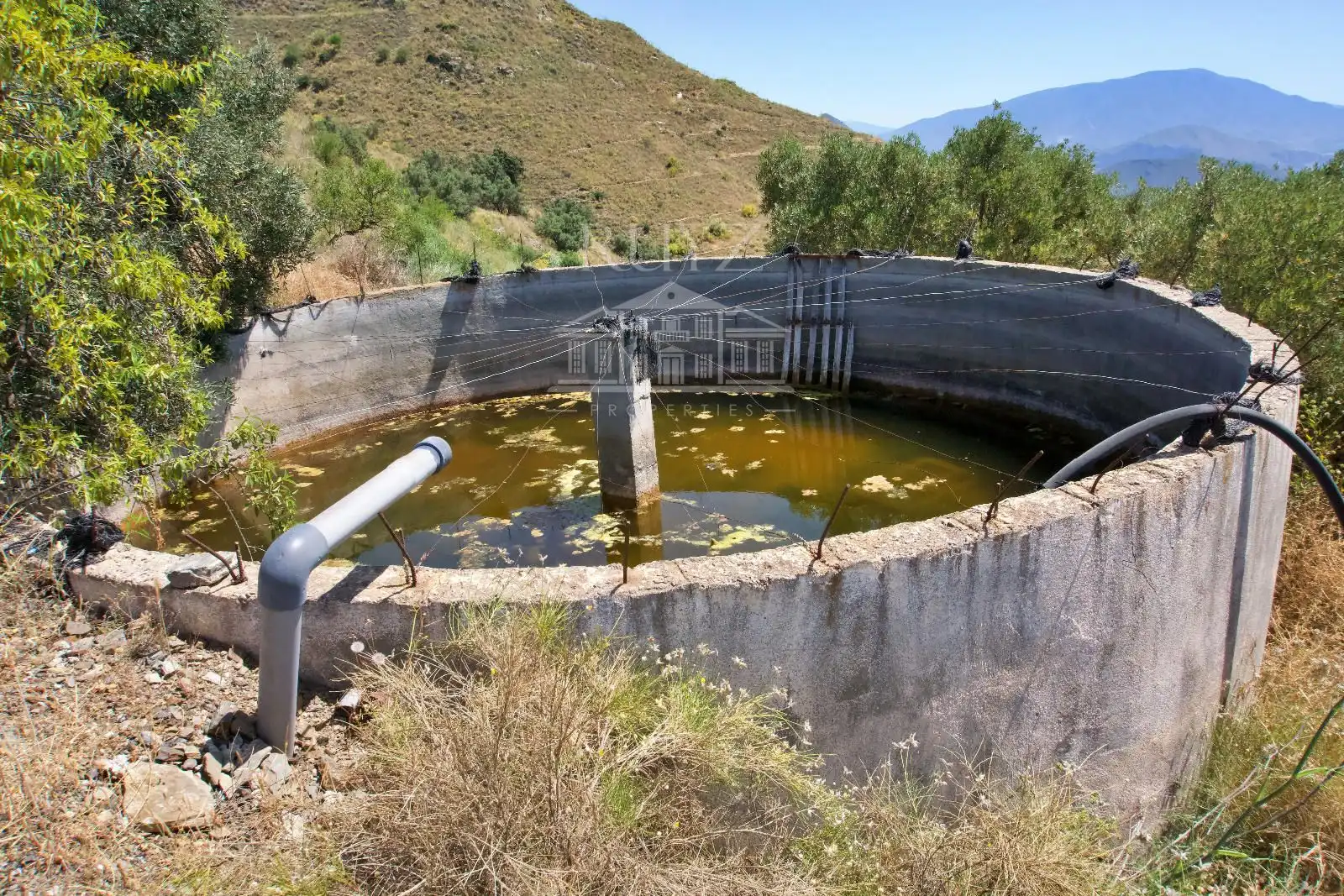 Terreny rústic en venda a Paraje El Poyetón, imagen 6