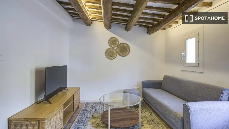 Living room of Flat for rent in Sant Martí