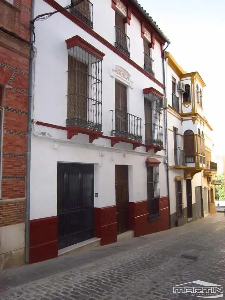 Vista exterior de Casa o chalet en venta en Puente Genil con Terraza