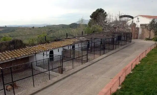 Vista exterior de Finca rústica en venta en Castellbisbal, Barcelona