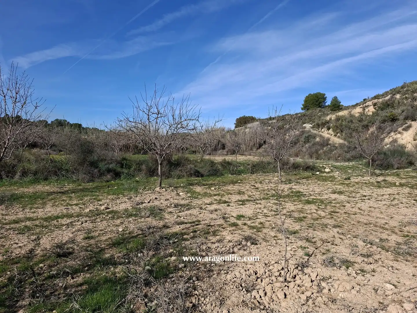 Land for sale in Fabara