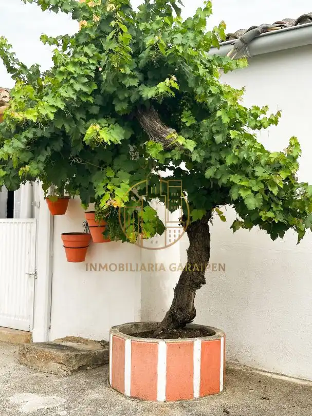 Jardín de Casa o chalet en venta en Santacara con Jardín privado y Terraza