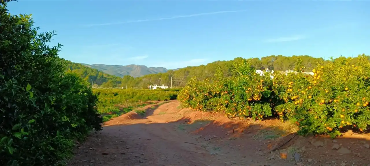 Exterior view of Land for sale in Torres Torres