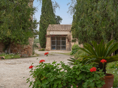 Jardí de Casa o xalet en venda en Santanyí amb Jardí privat, Terrassa i Traster