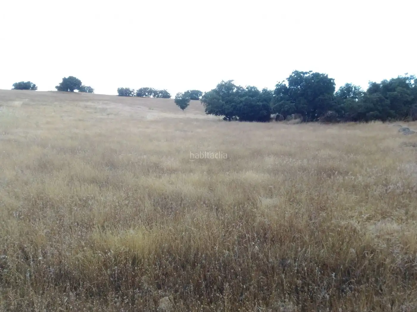 Terreno rustico in vendita a Calle Remiendos 1, imagen 5