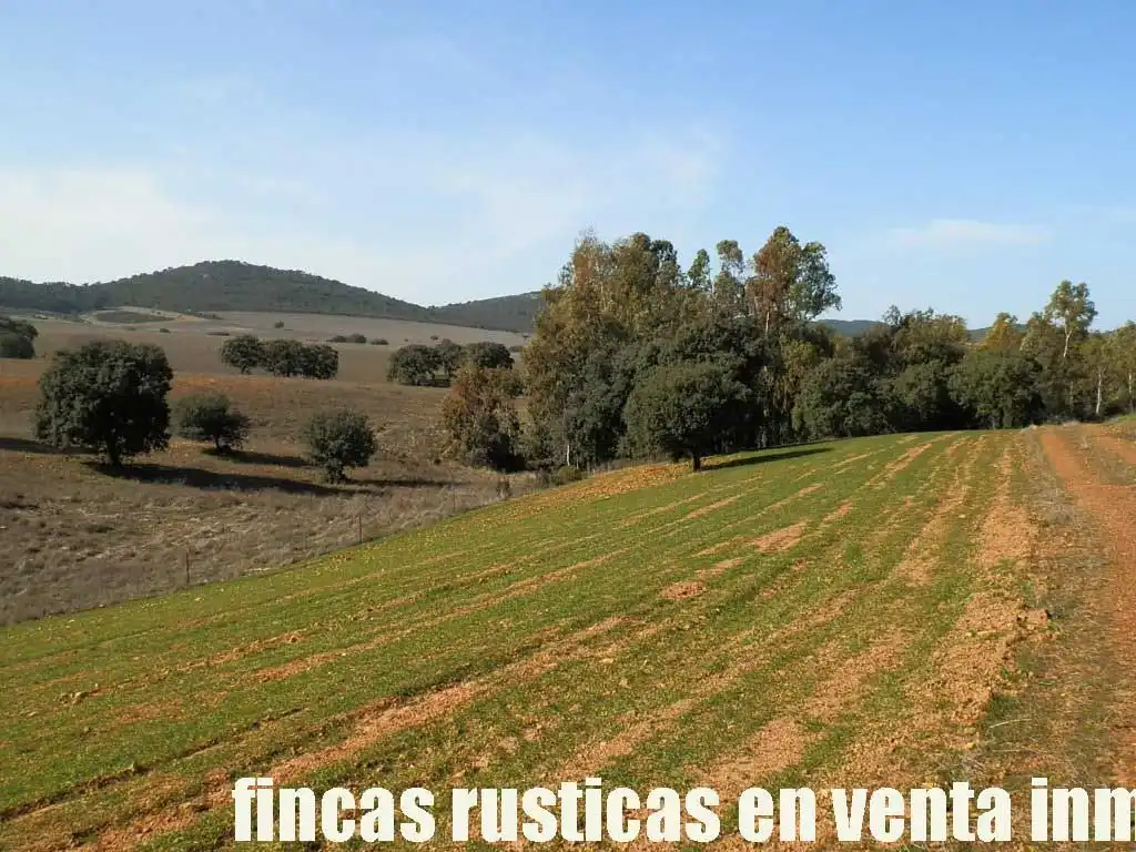 Terreny rústic en venda a Puebla de Don Rodrigo, imagen 12