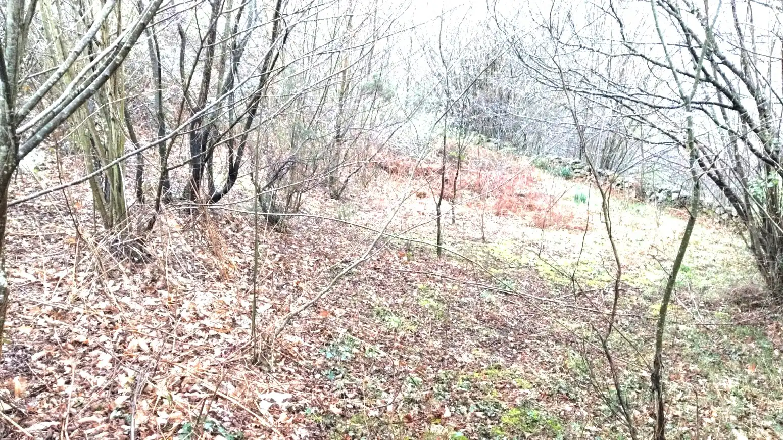 Residential land for sale in Bº LA CABANILLA, imagen 4