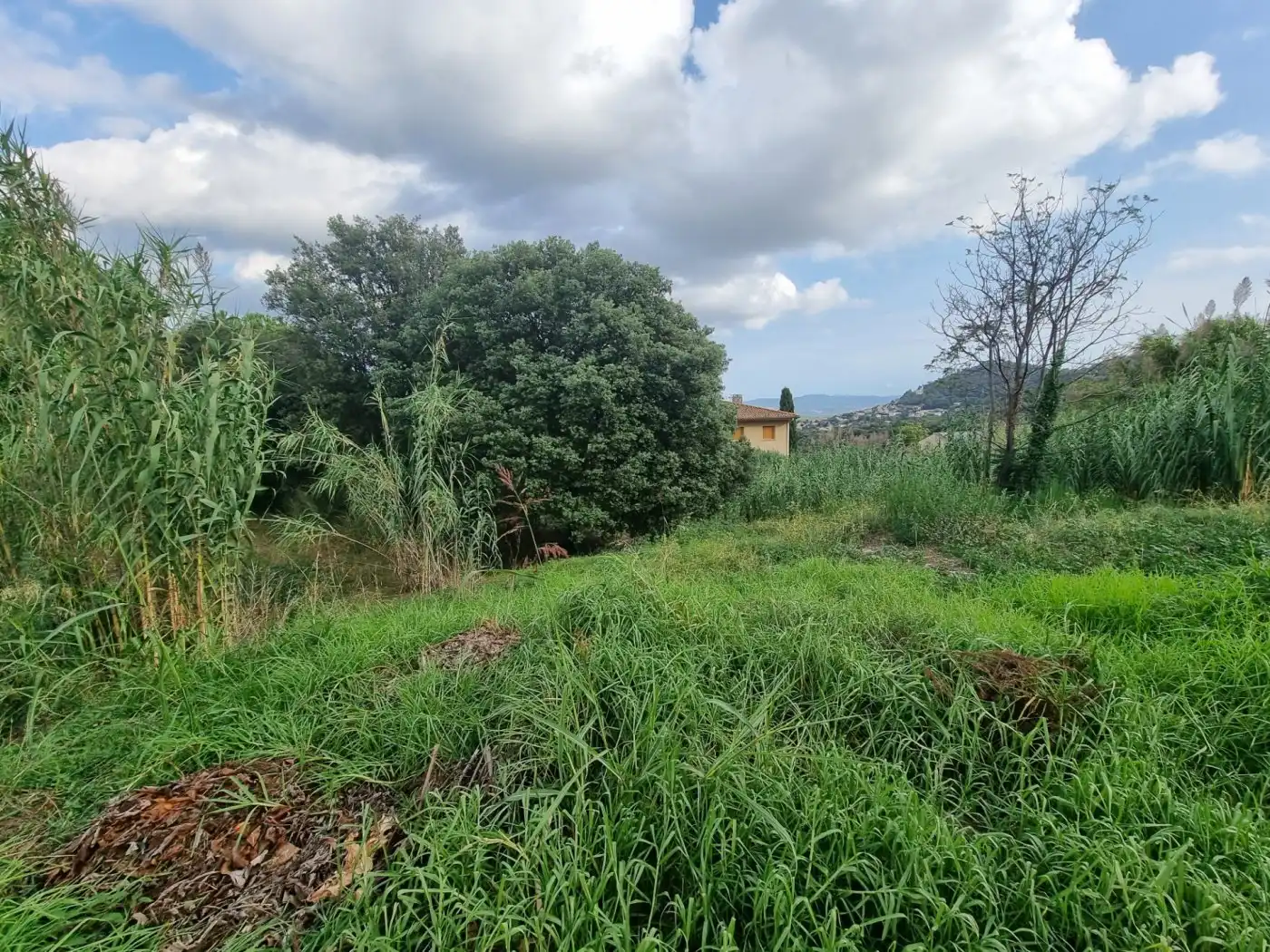 Lands and plots for sale in Calle BAGES, imagen 5