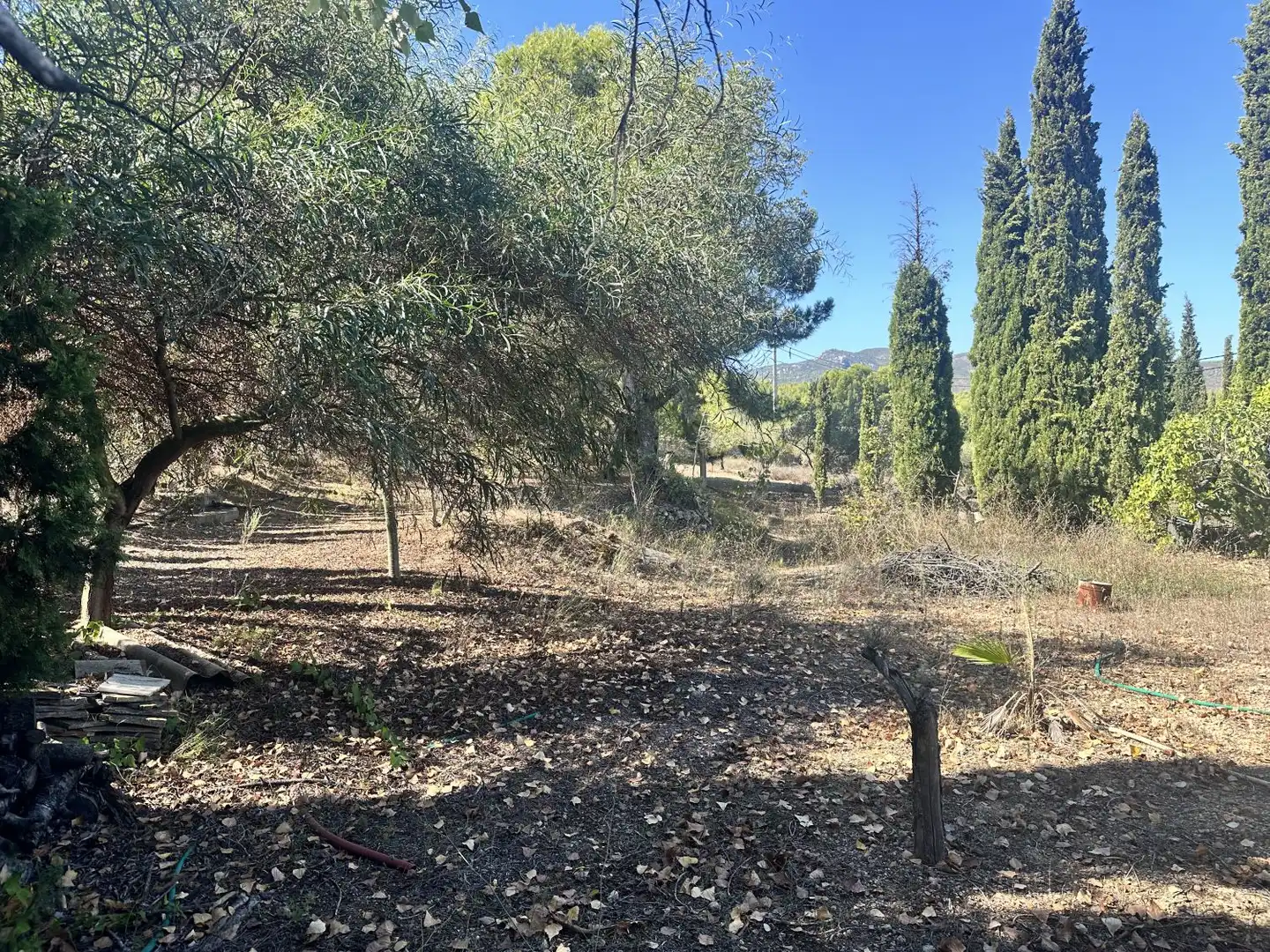 Chalet con terraza en venta en Torres Torres, imagen 35
