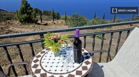 Photo 4 of Apartment to share in Puntagorda, Santa Cruz de Tenerife