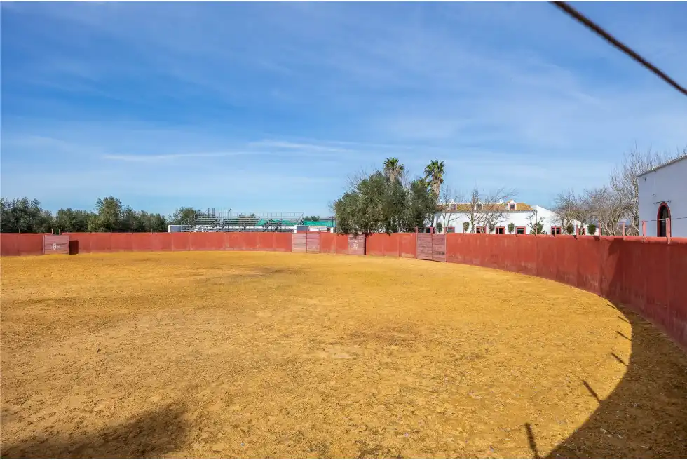 Casa rústica amb terrassa en venda a Carretera Guadajoz, imagen 10