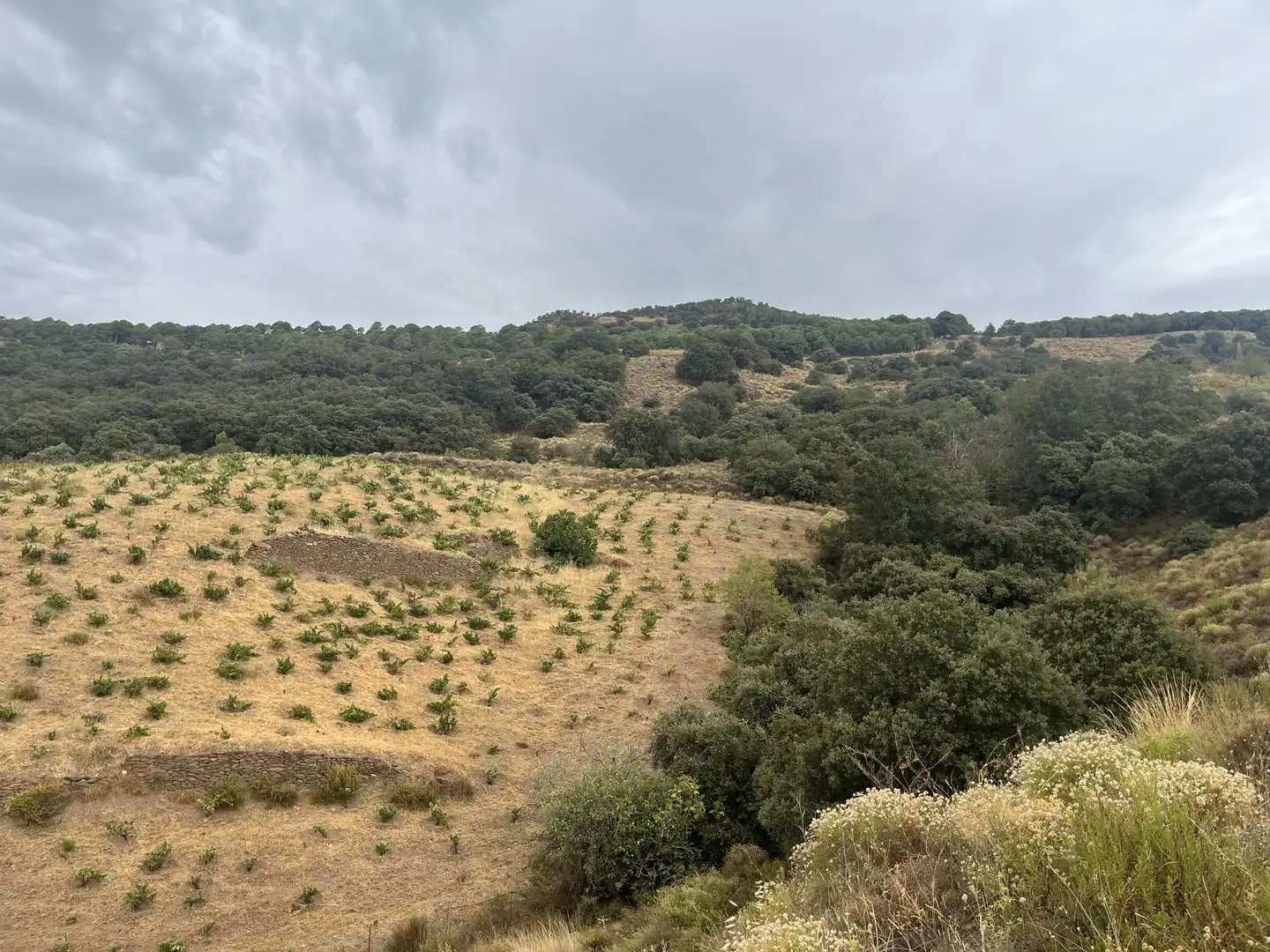 Terreno en venta en La Taha