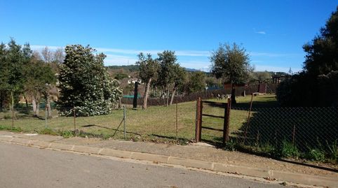 Terreny a mas llunés, immagine 5
