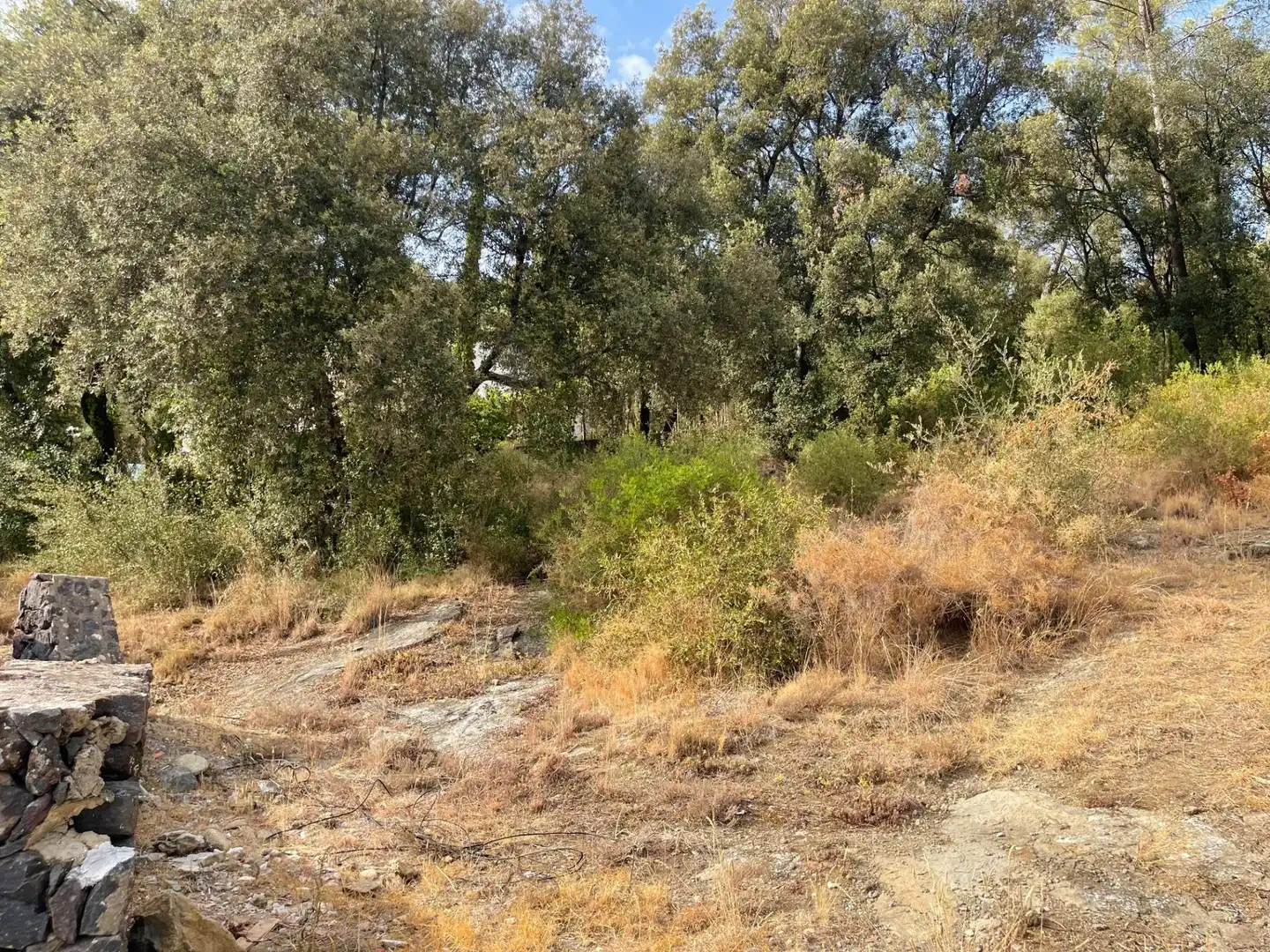 Terreny residencial en venda a Sant Martí de Llémena, imagen 3