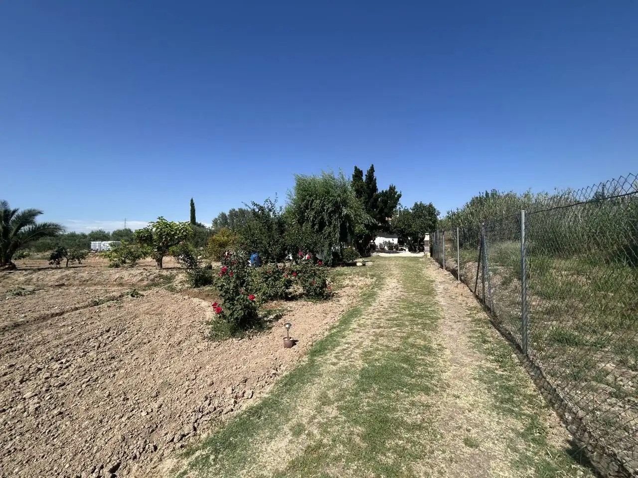 Country homes for sale in Corella  with Private garden, Terrace and Storage room