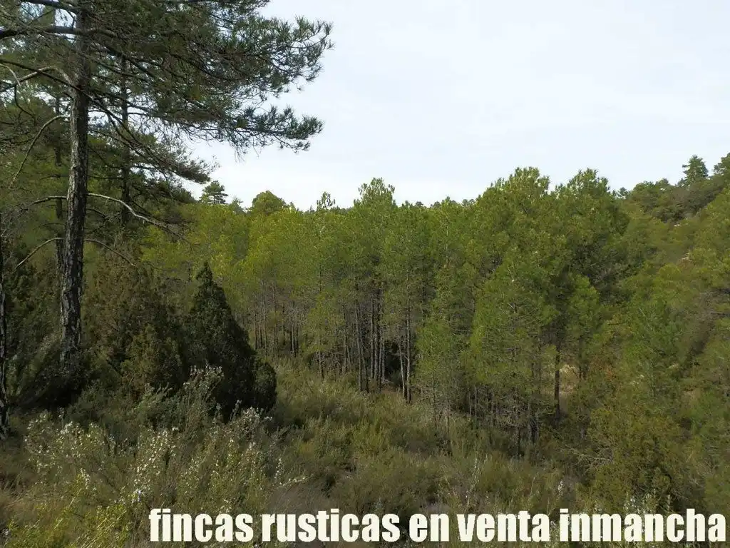 Terreni e lotti in vendita a Carboneras de Guadazaón, imagen 14