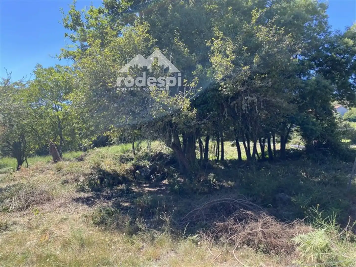 Terreny rústic en venda a Arans - Oroso, imagen 6