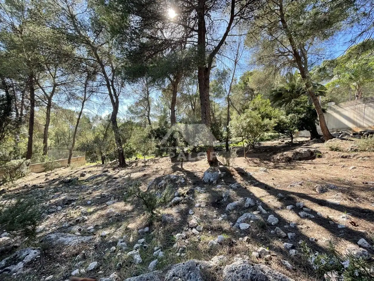 Terrenys i solars en venda a Carcaixent, imagen 3