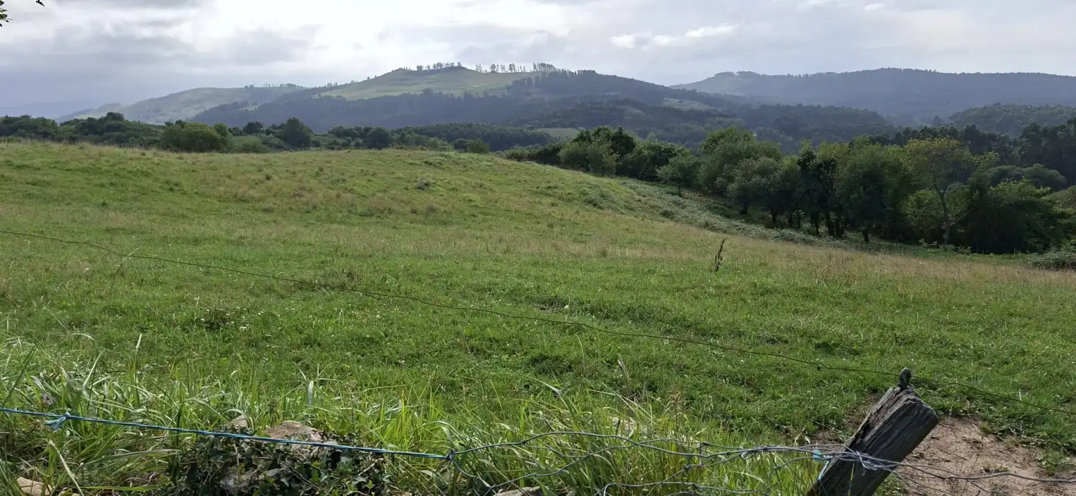Terreny rústic en venda a Fresnedo - La Camba, imagen 5