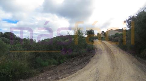 Foto 2 de Finca rústica en venta en Los Jarales, Perín, Murcia