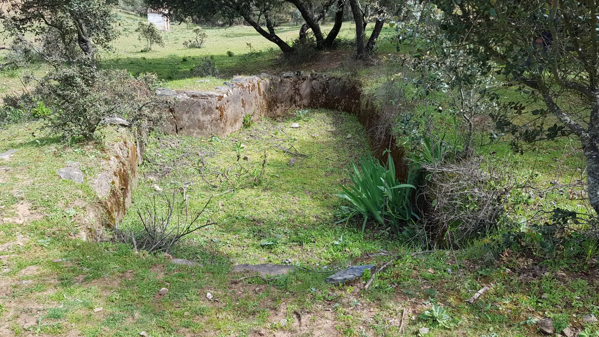 Terrenos y solares en venta en Extramuros Diseminados 5, imagen 76