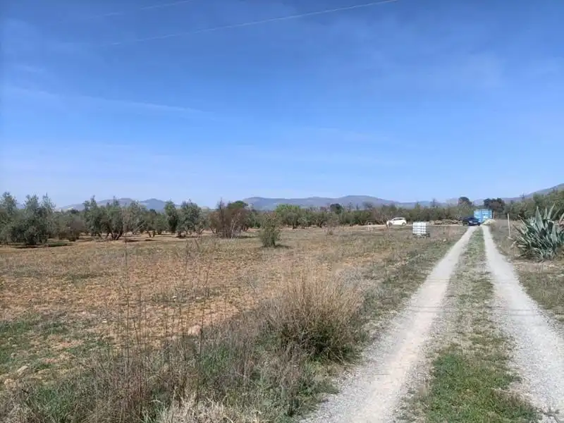 Terrenys i solars en venda a Polígono LA ZANJA