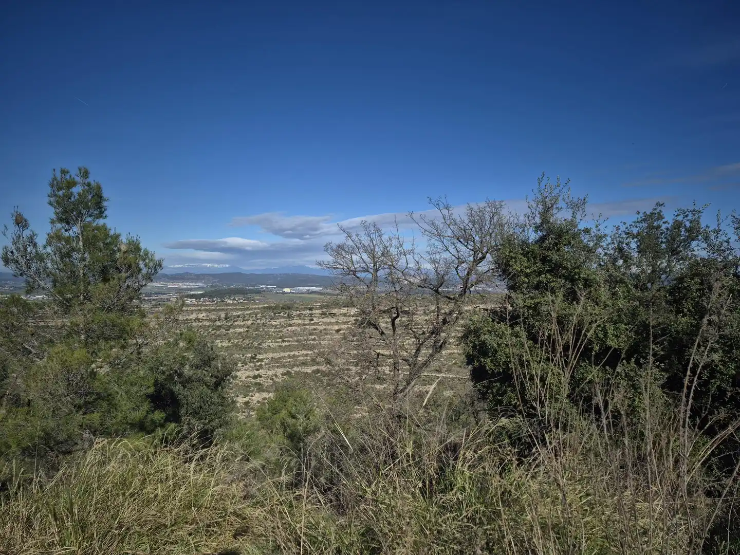 Residential land for sale in de la Llebre 19A, imagen 10
