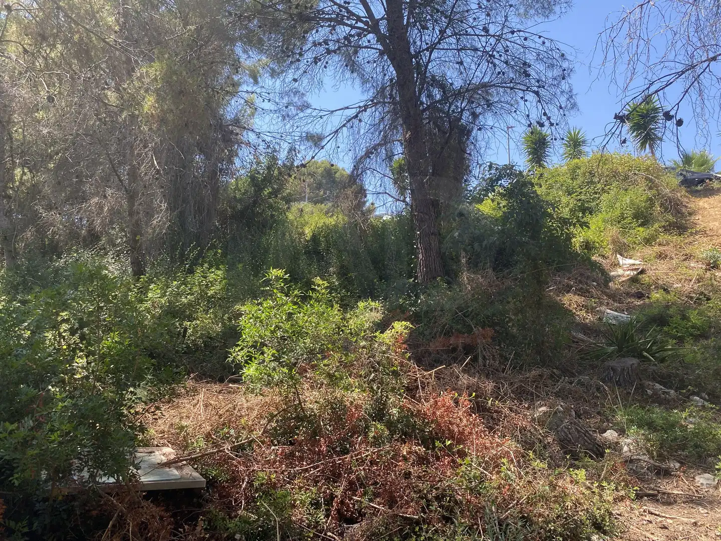 Residential land for sale in Urbanitzacions de Llevant, imagen 18