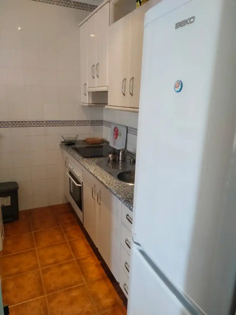 Apartment with terrace to rent in Avenida Pez Espada 9, imagen 8