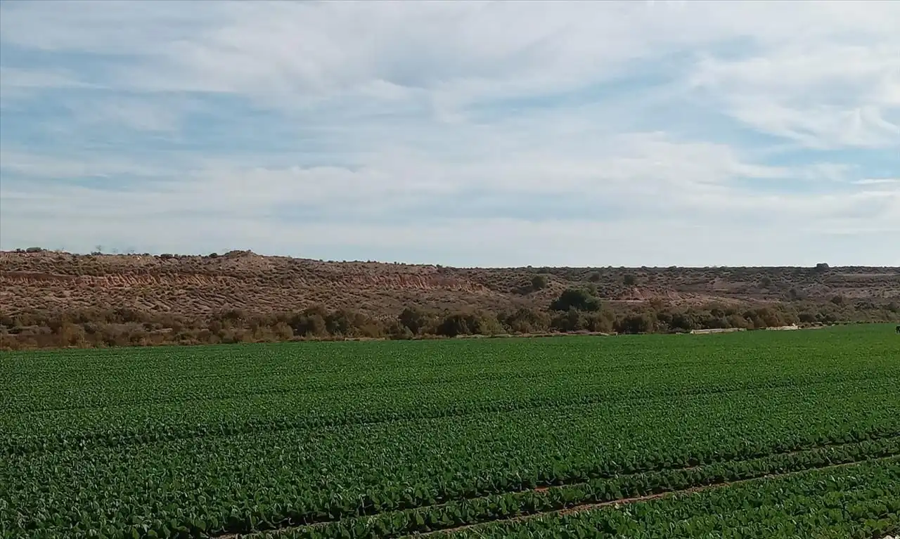 Terreni e lotti in vendita a PP GRANADOS 5 R-11-A en GEA Y TRUYOLS, imagen 4