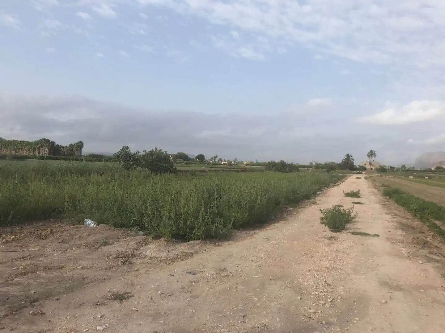 Terreny industrial en venda en Callosa de Segura