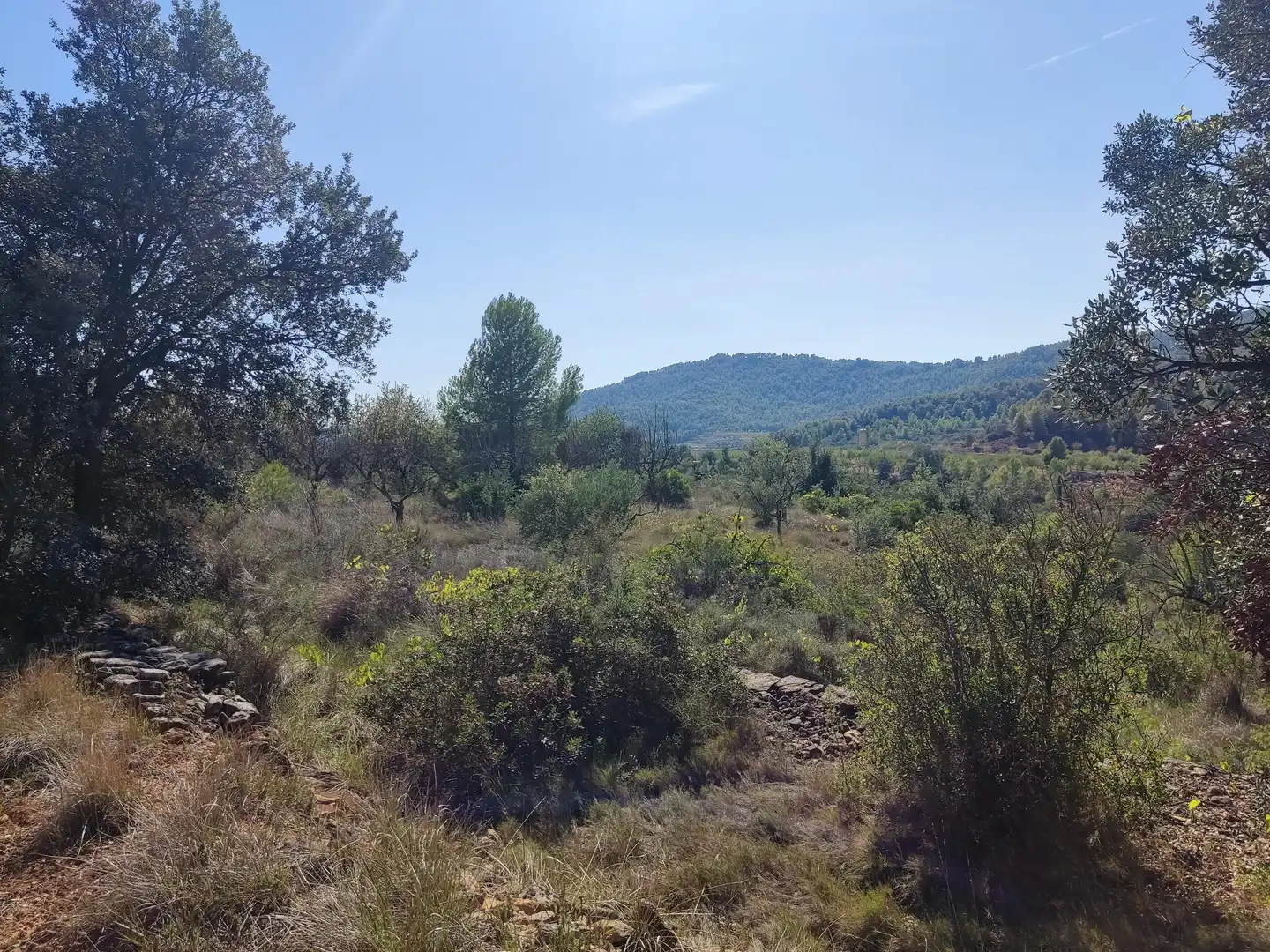 Rural land for sale in Horta de Sant Joan, imagen 11