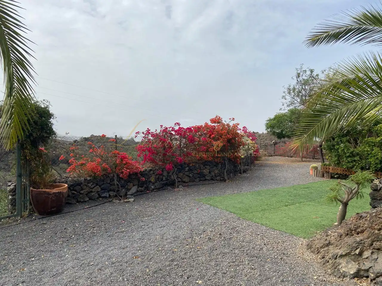 Jardí de Casa o xalet en venda en Guía de Isora amb Jardí privat i Terrassa