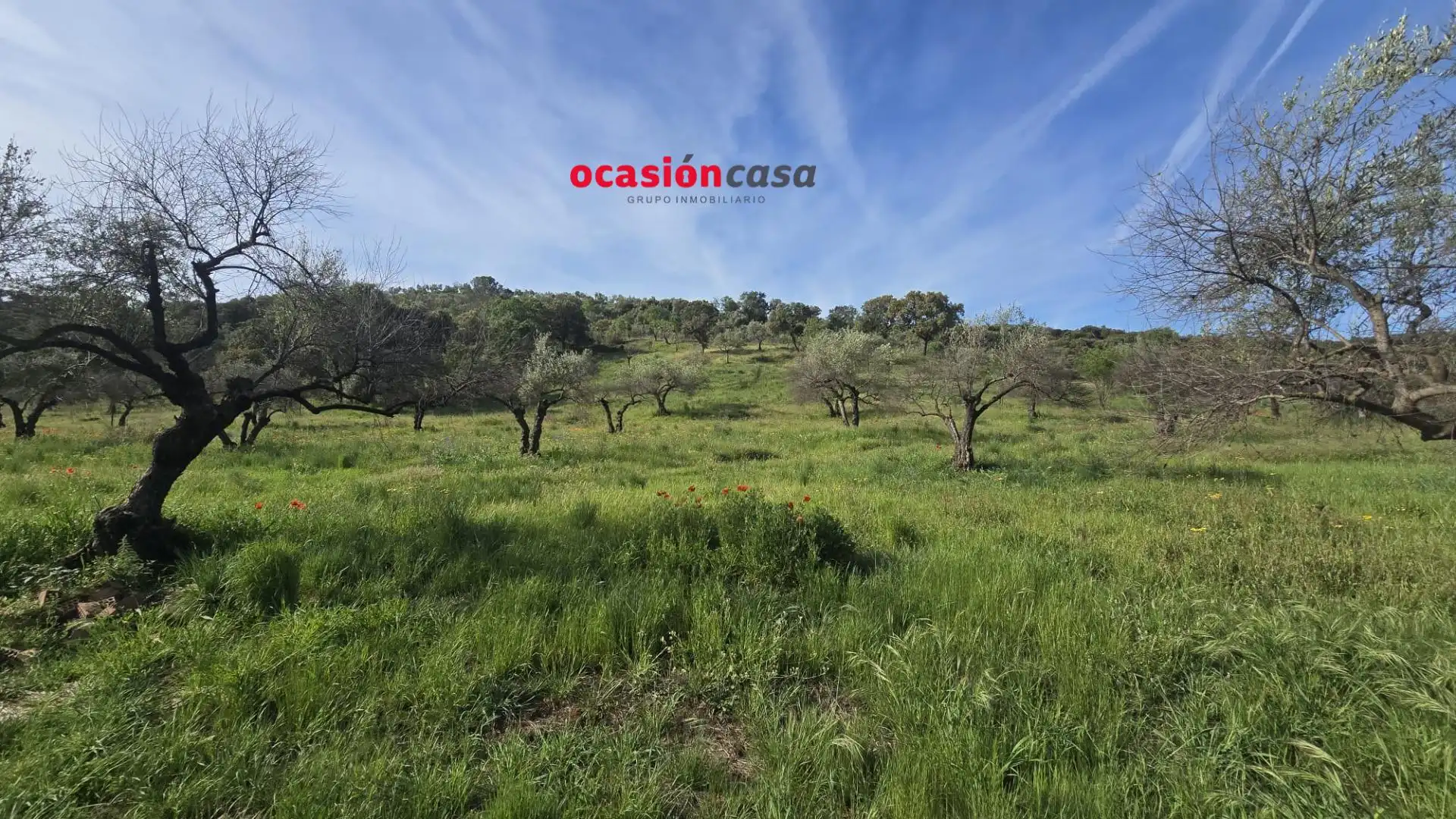 Casa in vendita a Belmez, imagen 7